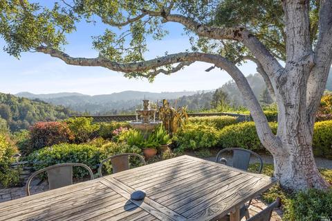 30 Sarah Dr, Mill Valley, CA 94941 photo 18
