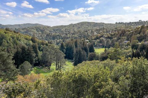 30 Sarah Dr, Mill Valley, CA 94941 photo 39