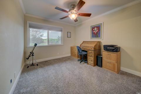 4169 Eucalyptus Ln, Winters, CA 95694 photo 26