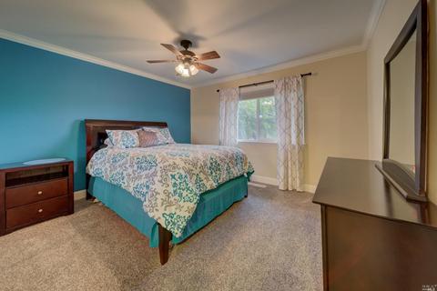 4169 Eucalyptus Ln, Winters, CA 95694 photo 27