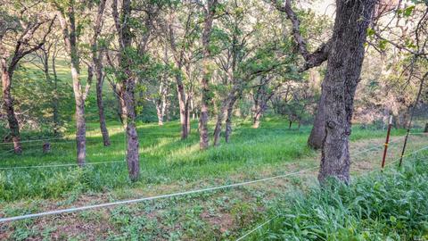1595 Lower Trail Rd, Clayton, CA 94517 photo 8