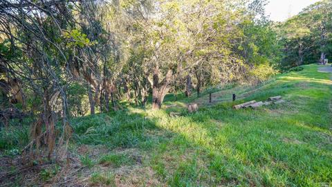 1595 Lower Trail Rd, Clayton, CA 94517 photo 4