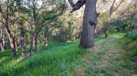 1595 Lower Trail Rd, Clayton, CA 94517 photo 9