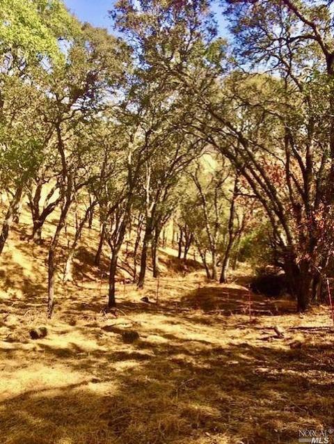 1595 Lower Trail Rd, Clayton, CA 94517 photo 15