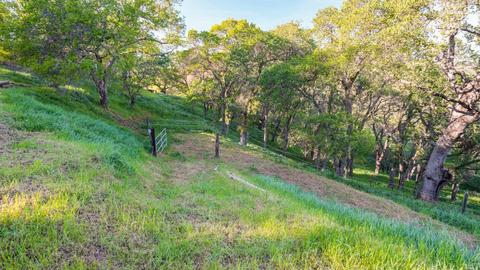 1595 Lower Trail Rd, Clayton, CA 94517 photo 6