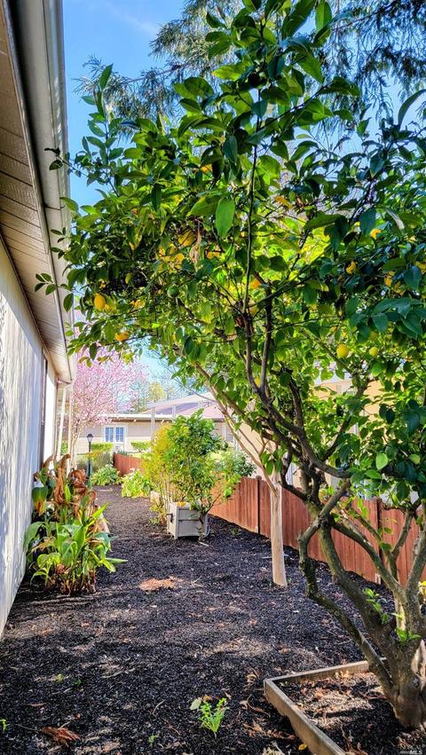 7 E Napa Dr, Petaluma, CA 94954 photo 48
