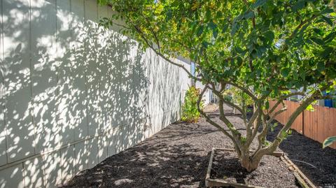 7 E Napa Dr, Petaluma, CA 94954 photo 30