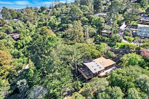730 Cabin Dr, Mill Valley, CA 94941 photo 6