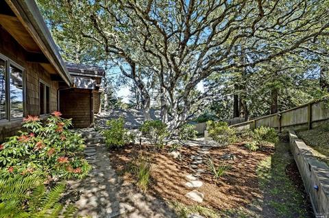 730 Cabin Dr, Mill Valley, CA 94941 photo 7