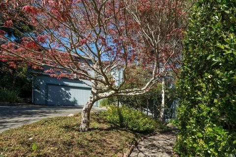 1104 Western Ave, Mill Valley, CA 94941 photo 2