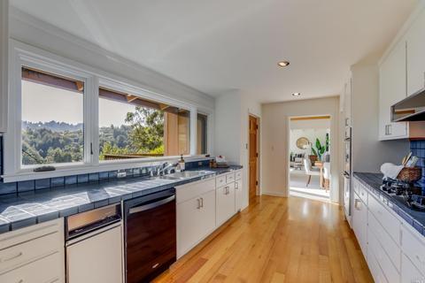 20 Cushing Dr, Mill Valley, CA 94941 photo 11