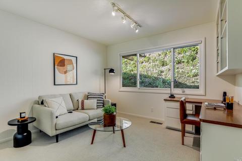 20 Cushing Dr, Mill Valley, CA 94941 photo 18