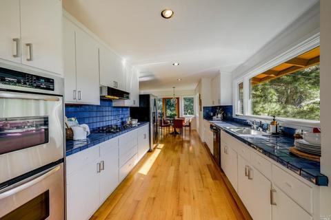 20 Cushing Dr, Mill Valley, CA 94941 photo 10