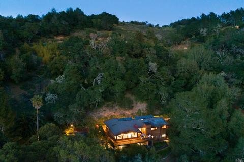 20 Cushing Dr, Mill Valley, CA 94941 photo 38