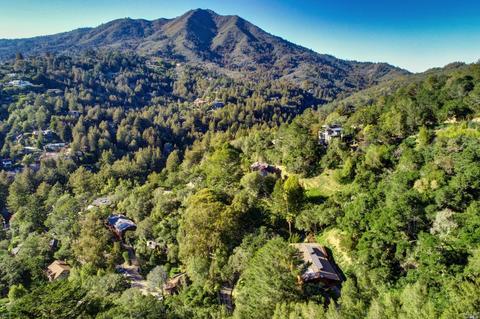 20 Cushing Dr, Mill Valley, CA 94941 photo 34