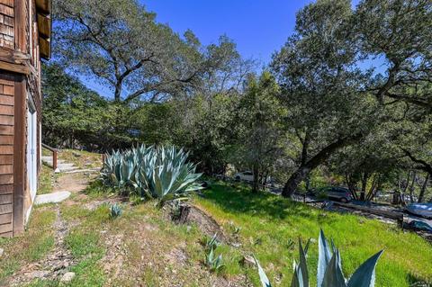 276 Cascade Dr, Fairfax, CA 94930 photo 20
