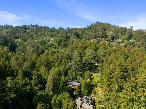 30 Wainwright Pl, Mill Valley, CA 94941 photo 41