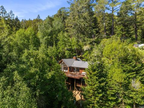 30 Wainwright Pl, Mill Valley, CA 94941 photo 39