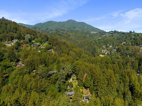 30 Wainwright Pl, Mill Valley, CA 94941 photo 42