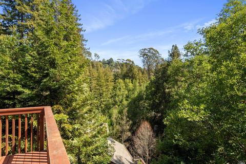 30 Wainwright Pl, Mill Valley, CA 94941 photo 20