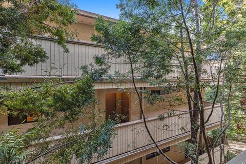 270 Channing Way #22, San Rafael, CA 94903 photo 31