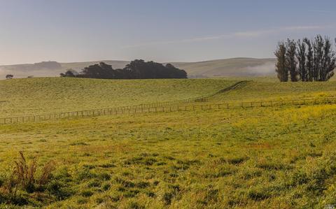 2151 Fallon Rd, Petaluma, CA 94952 photo 40