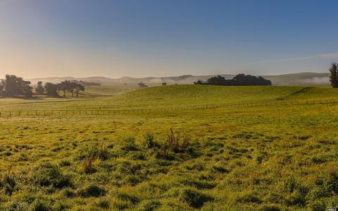 2151 Fallon Rd, Petaluma, CA 94952 photo 39