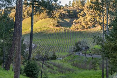 1610 Brack Rd, Healdsburg, CA 95448 photo 61