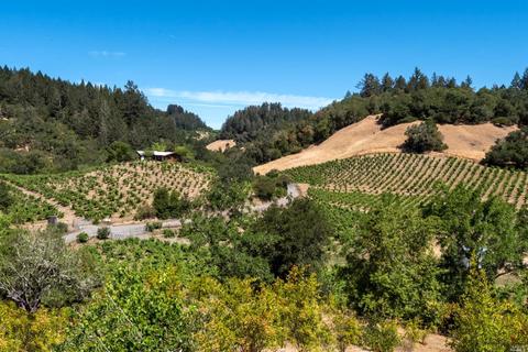 1610 Brack Rd, Healdsburg, CA 95448 photo 54