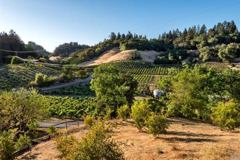 1610 Brack Rd, Healdsburg, CA 95448 photo 45