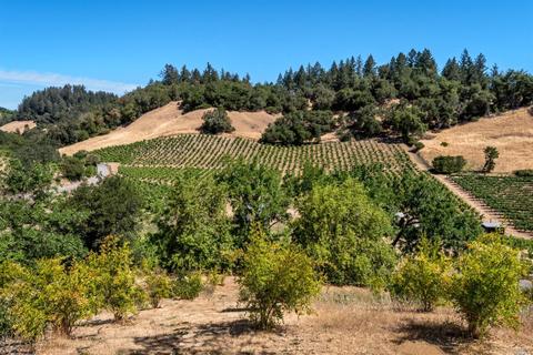 1610 Brack Rd, Healdsburg, CA 95448 photo 53