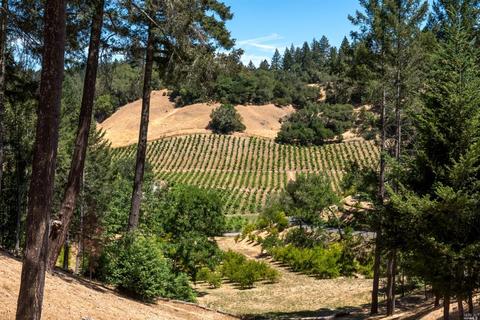1610 Brack Rd, Healdsburg, CA 95448 photo 4