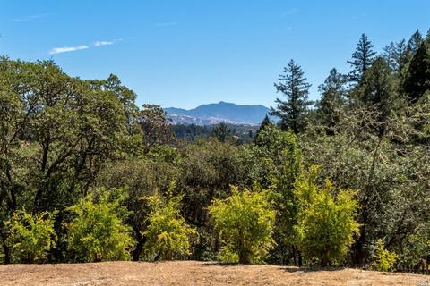 1610 Brack Rd, Healdsburg, CA 95448 photo 63