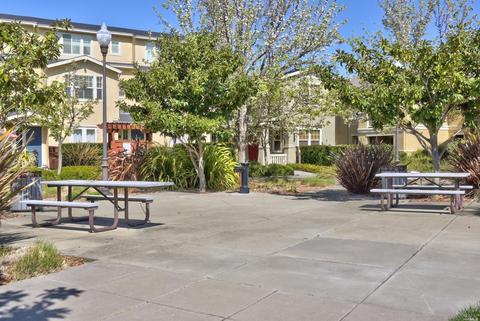 6593 Santero Way, Cotati, CA 94931 photo 28