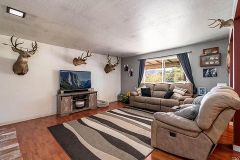 6675 Old River Rd, Ukiah, CA 95482 photo 4