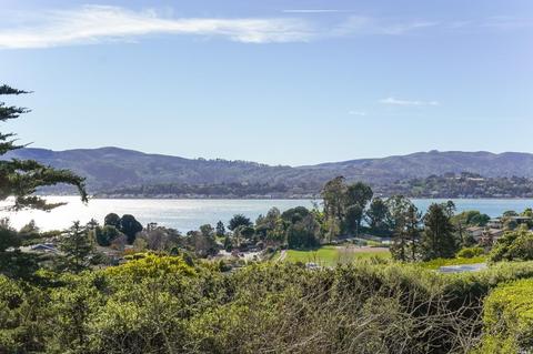 40 Geldert Dr, Tiburon, CA 94920 photo 37