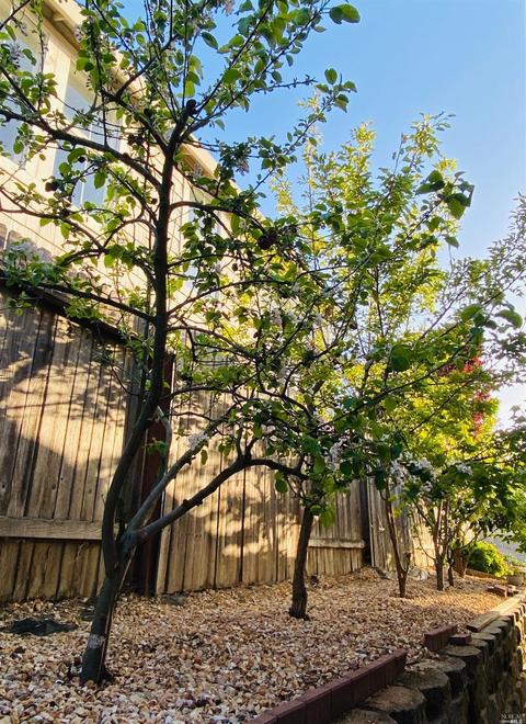 101 Turnberry Way, Vallejo, CA 94591 photo 48