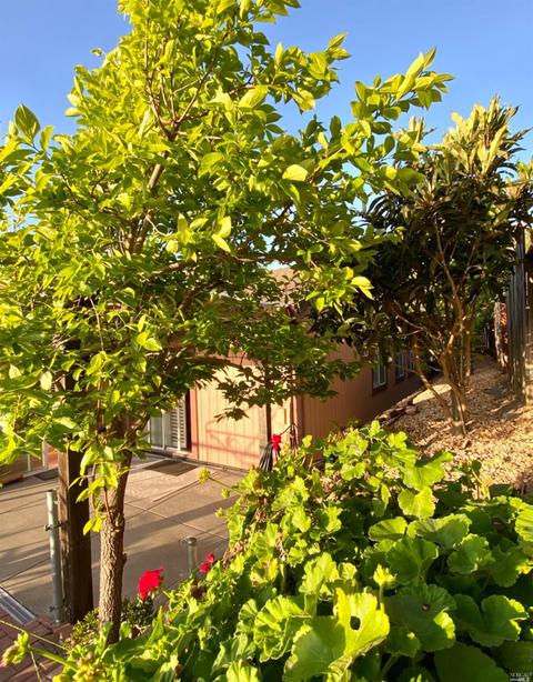 101 Turnberry Way, Vallejo, CA 94591 photo 47