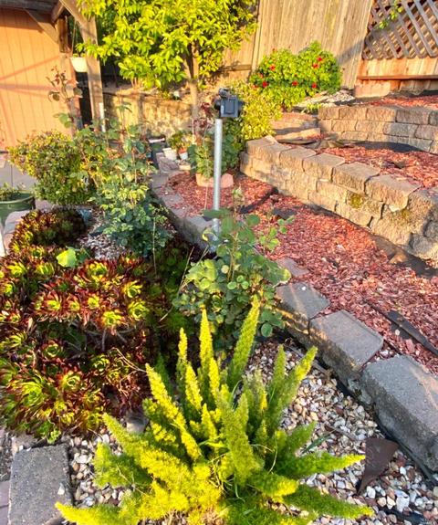 101 Turnberry Way, Vallejo, CA 94591 photo 43