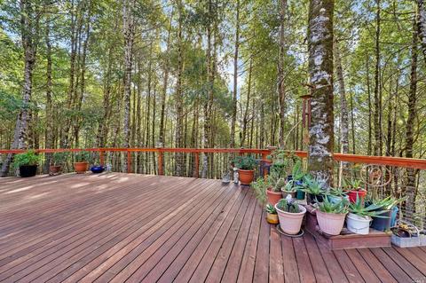 27471 Fox Rd, Willits, CA 95490 photo 23