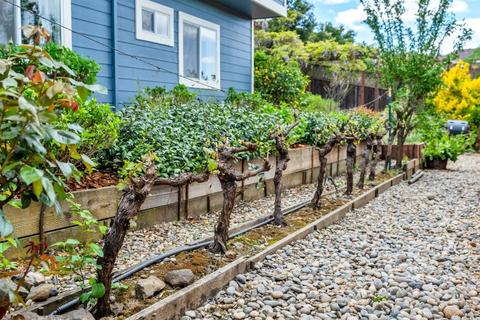 109 Quarry Dr, Napa, CA 94559 photo 42