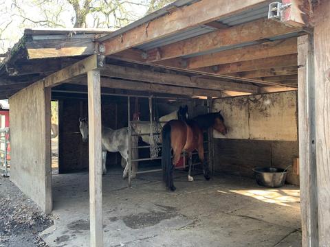 3302 Somers St, Fulton, CA 95439 photo 12