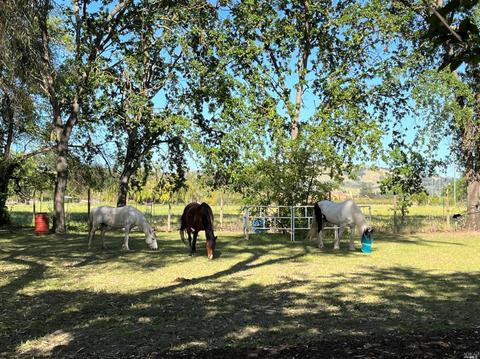 3302 Somers St, Fulton, CA 95439 photo 2