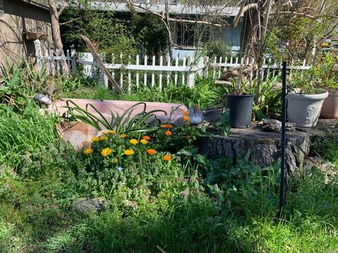 3302 Somers St, Fulton, CA 95439 photo 6