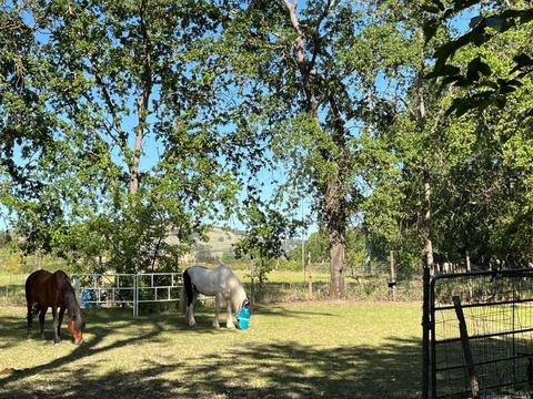 3302 Somers St, Fulton, CA 95439 photo 1