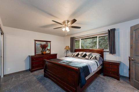910 Live Oak Ave, Ukiah, CA 95482 photo 23