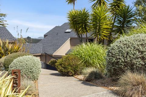 353 Durant Way, Mill Valley, CA 94941 photo 48