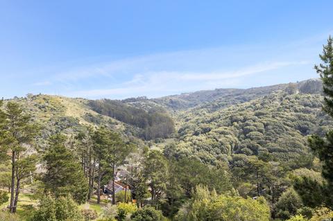 353 Durant Way, Mill Valley, CA 94941 photo 7