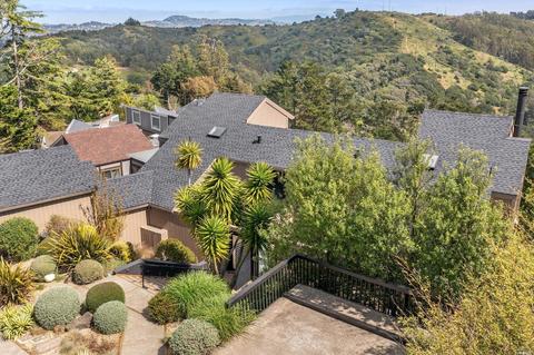 353 Durant Way, Mill Valley, CA 94941 photo 46