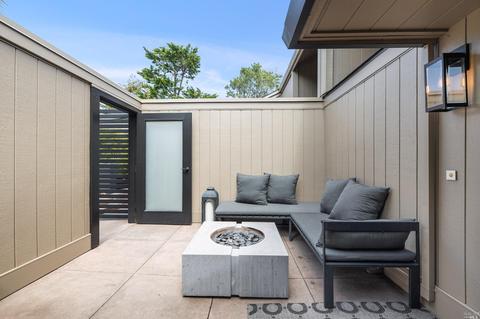 353 Durant Way, Mill Valley, CA 94941 photo 44
